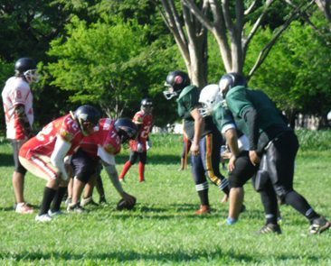 Leones of Managua in green; Iron Wolves in red