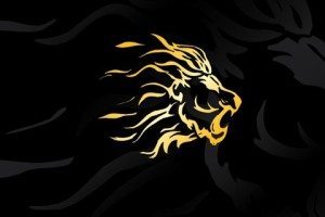 Italy - Bergamo Lions logo2