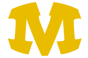 Germany - Munich Cowboys logo