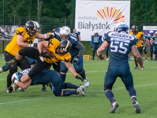 Poland - Lowlanders v Sharks