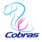 Cobras Flag AGFA