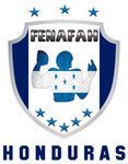 New FENAFAH Logo