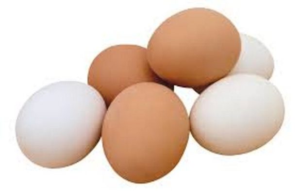 AFI - 12 foods - eggs - 2