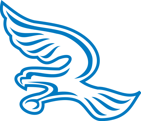 Austria - Ljubjana Silverhawks logo