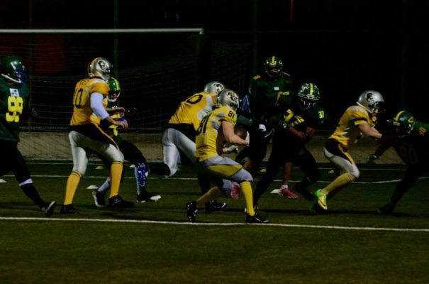 Israel - Silverbacks - Troopers 2016.2