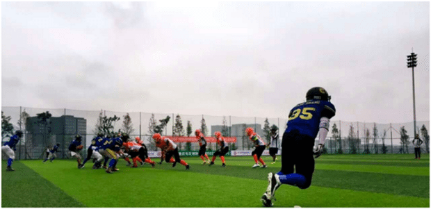 china-aflc-oct-nov-2016-action-3