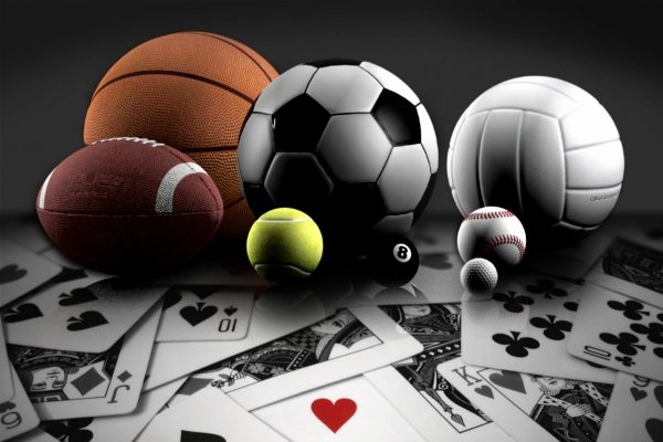 How to Choose the Right Sports Betting Provider