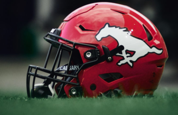 CFL: Calgary Stampeders sign South African RB Nico Leonard and ...