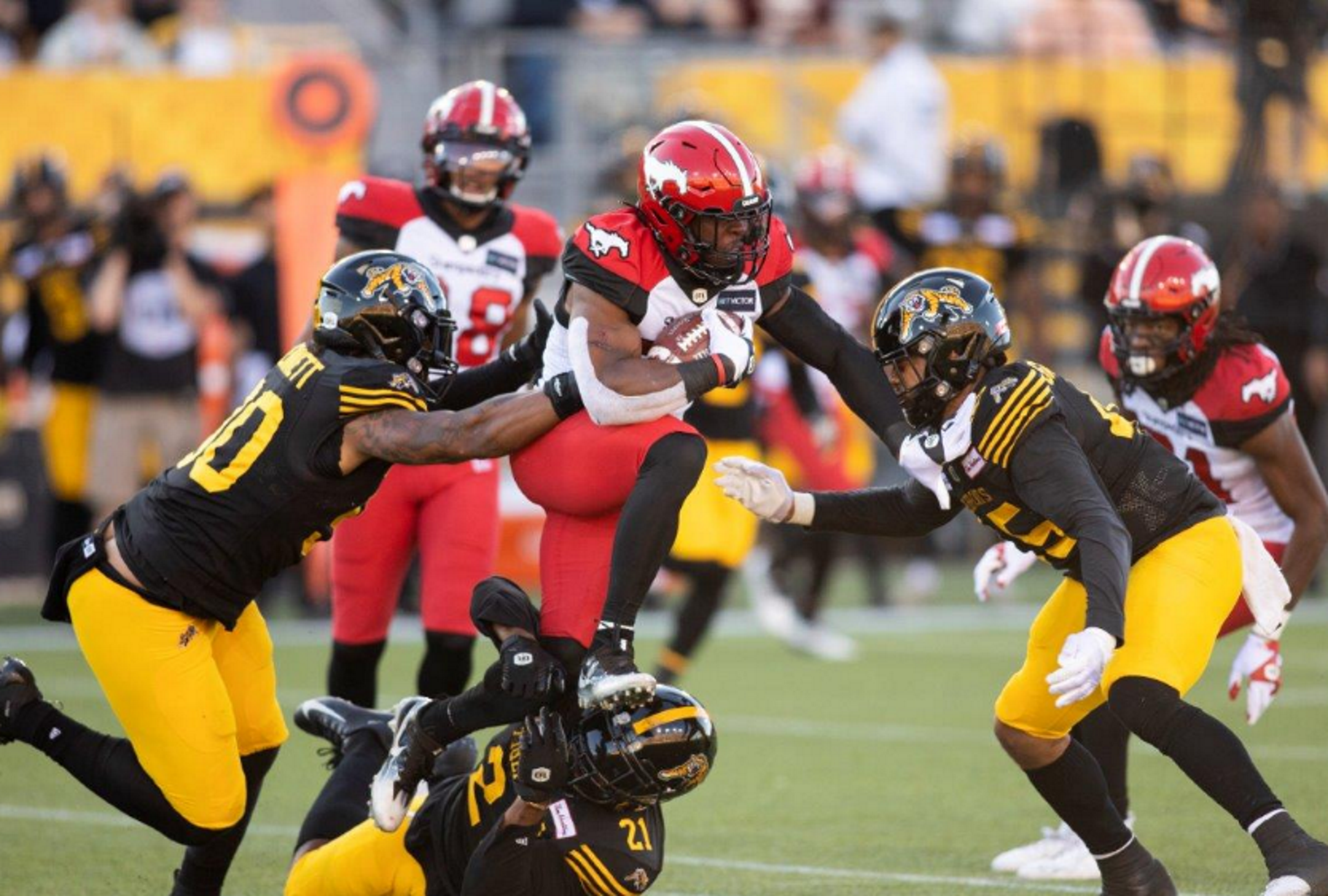 Calgary Stampeders at Hamilton Tiger-Cats odds, picks and