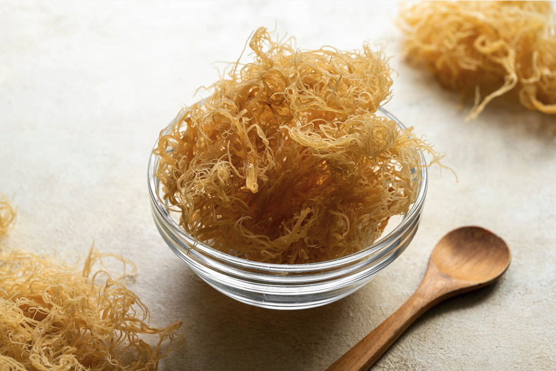 Eat a footballer’s way: unlock the nutritional benefits of Sea Moss for Sportsmen