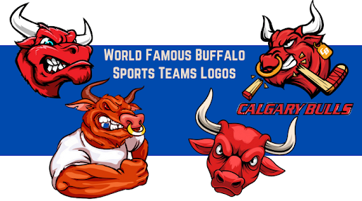 An Illustration Of A Bull Sports Mascot Head With The Word Bulls